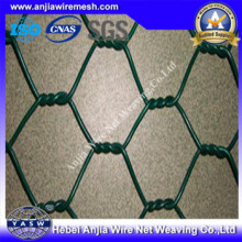 PVC revestido Hexagonal Wire Netting com (CE e SGS)